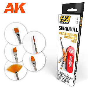 Survival weathering brushes kit da AK Interactive