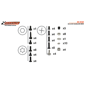 Parafusos PRO da Scaleauto para chassis Standard R2