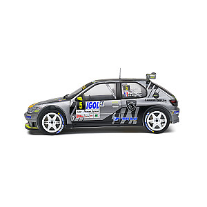 Peugeot 306 Maxi #5 – Rally du Mont Blanc 2021 – François Delecour/ J. R. Guigonnet